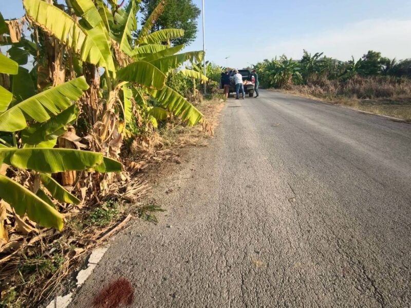 ขายถูกที่ดิน 150 ตรว ติดถนนสาธารณะ ซ.บ้านคลองฝรั่ง ไทรน้อย นนทบุรี