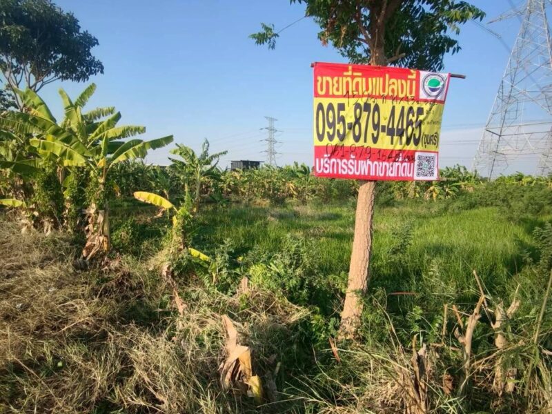 ขายถูกที่ดิน 150 ตรว ติดถนนสาธารณะ ซ.บ้านคลองฝรั่ง ไทรน้อย นนทบุรี