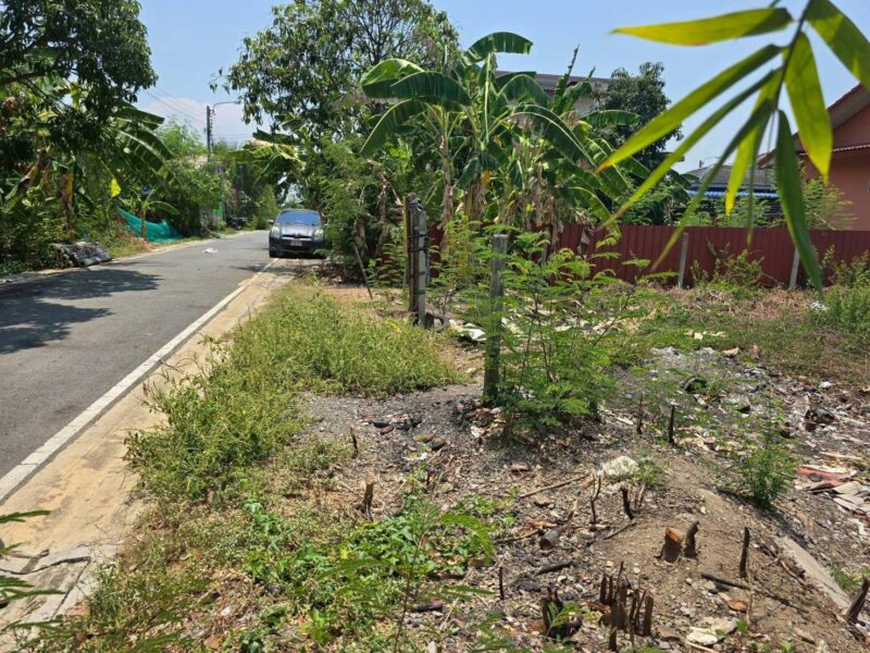 ขายด่วนที่ดินใกล้วัดเต็มรักสามัคคี 52 ตรว ติดถนนลาดยางสาธารณะ บางคูรัต บางบัวทอง นนทบุรี