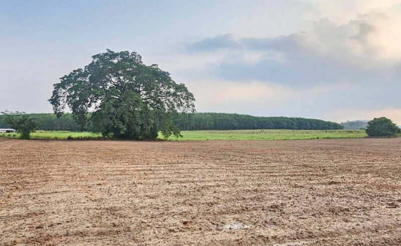 ขายที่ดิน จ.ชลบุรี เนื้อที่ 108-0-14 ไร่ ใกล้นิคมอุตสาหกรรม WHA ESIE 3