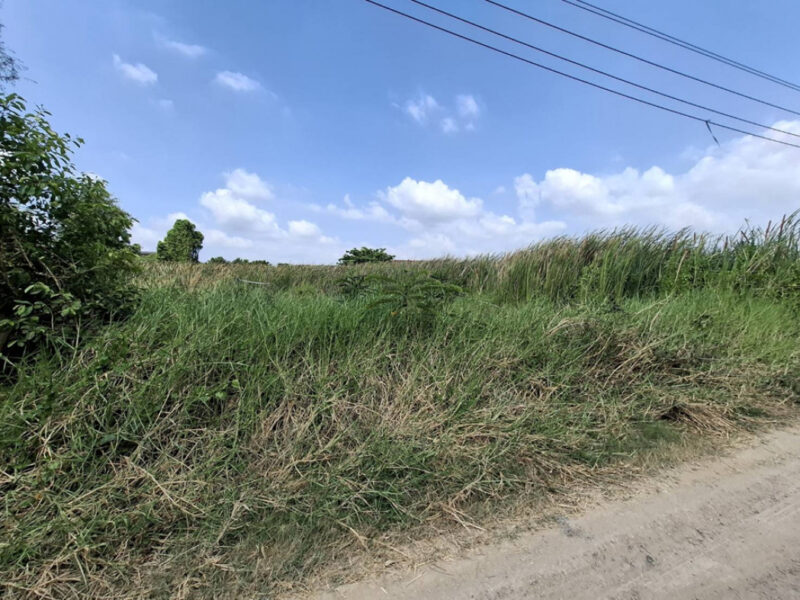 ขาย ที่ดิน ถมแล้ว 120 ตร.วา ม.ธารทอง 2 แยก 10 ซอยวัดลาดปลาดุก หน้ากว้าง 24ม. รูปแปลงสวยเหมาะปลูกบ้านเดี่ยวพื้นที่กว้าง ใกล้รถไฟฟ้า+Westgate