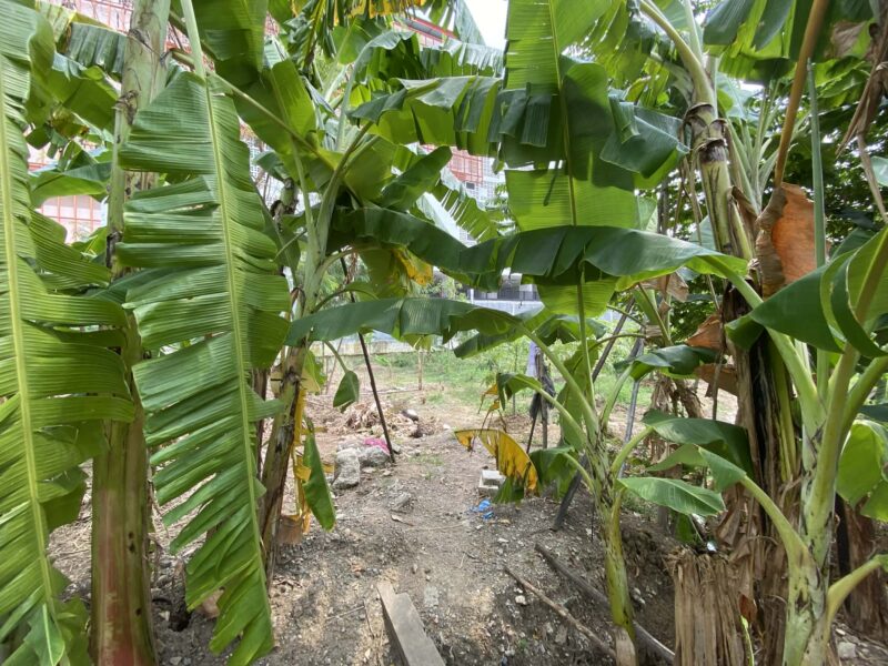 "ขายที่ดินติดถนนใหญ่ติวานนท์ 2-2-85 ไร่ ทำเลทองใกล้โรงเรียนสวนกุหลาบนนท์ เหมาะทำธุรกิจ"