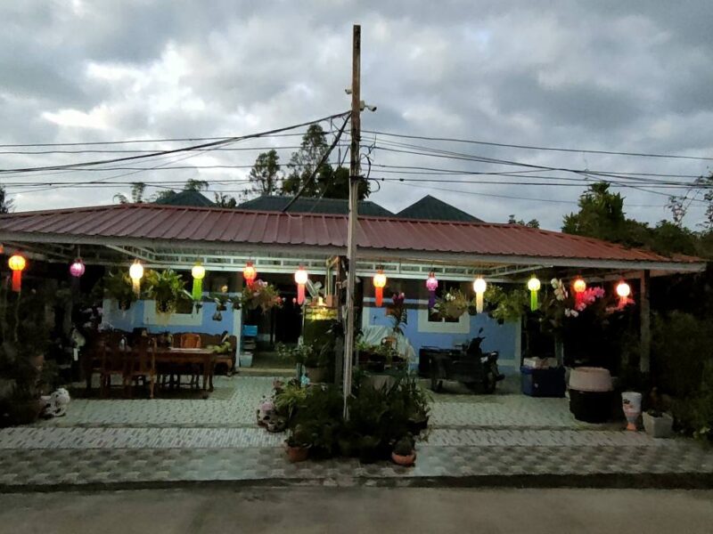 Smaller business guest house Farm of Fruits at Phetchabun on sale Mountain view at Chon Daen Phetchabun asmohere,a lot of various of Thai Fruits , house for rent ,good view ,good natural