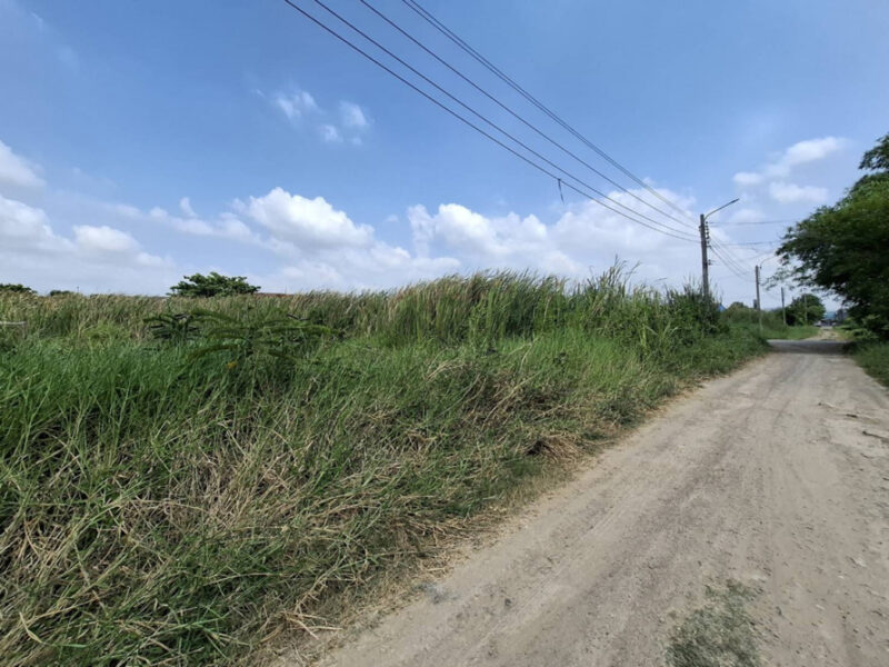 ขาย ที่ดิน ถมแล้ว 120 ตร.วา ม.ธารทอง 2 แยก 10 ซอยวัดลาดปลาดุก หน้ากว้าง 24ม. รูปแปลงสวยเหมาะปลูกบ้านเดี่ยวพื้นที่กว้าง ใกล้รถไฟฟ้า+Westgate