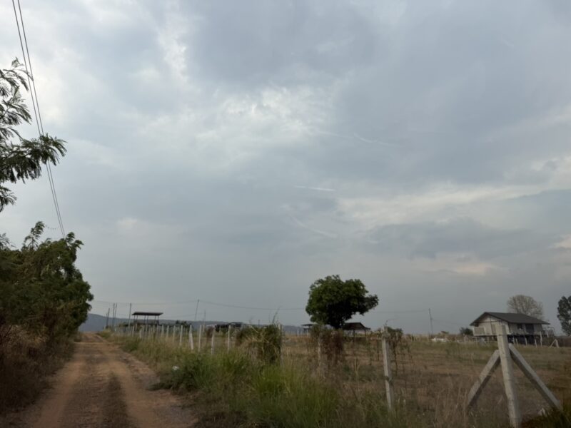 ที่ดินคลองไผ่.วิวเขา 3 ไร่. | 3.9 ลบ. ( 3,250 บ./ วา ) เหนือเขื่อนลำตะคอง ต.คลองไผ่ อ.สีคิ้ว จ.นครราชสีมา