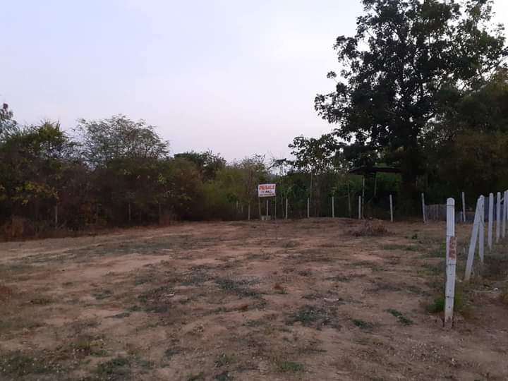 ที่ดิน หิวหิน