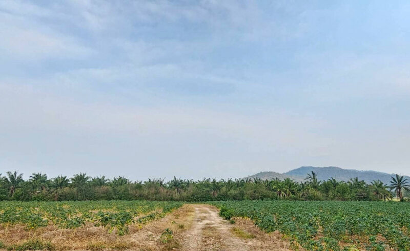 ขายที่ดิน จ.ชลบุรี เนื้อที่ 108-0-14 ไร่ ใกล้นิคมอุตสาหกรรม WHA ESIE 3