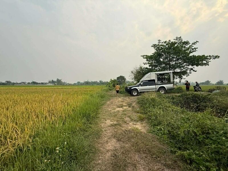 ขายที่ดิน ทุ่งนา เชียงใหม่