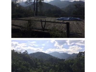 ขายที่ดิน 19ไร่ 1.5 ล้านบาท วิวดอยสวยมาก บรรยากาศดี ใกล้ไร่ชาลุงเดช แม่แตง เชียงใหม่