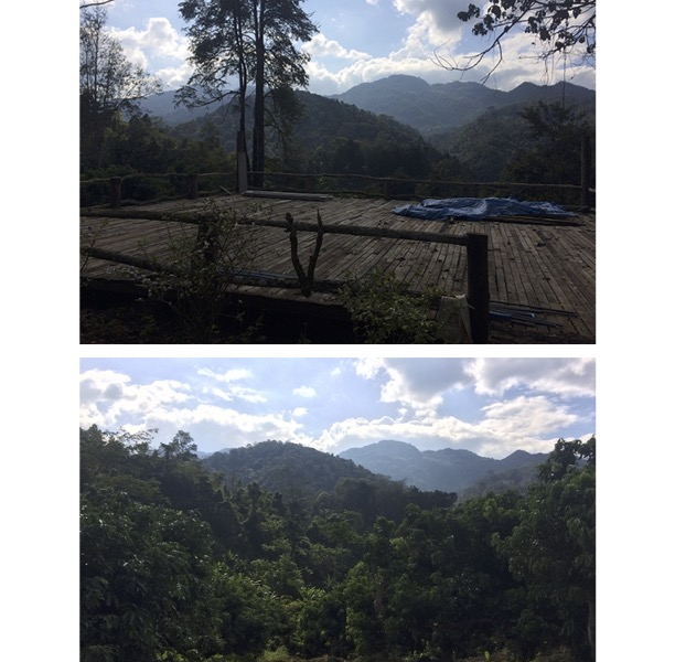 ขายที่ดิน 19ไร่ 1.5 ล้านบาท วิวดอยสวยมาก บรรยากาศดี ใกล้ไร่ชาลุงเดช แม่แตง เชียงใหม่