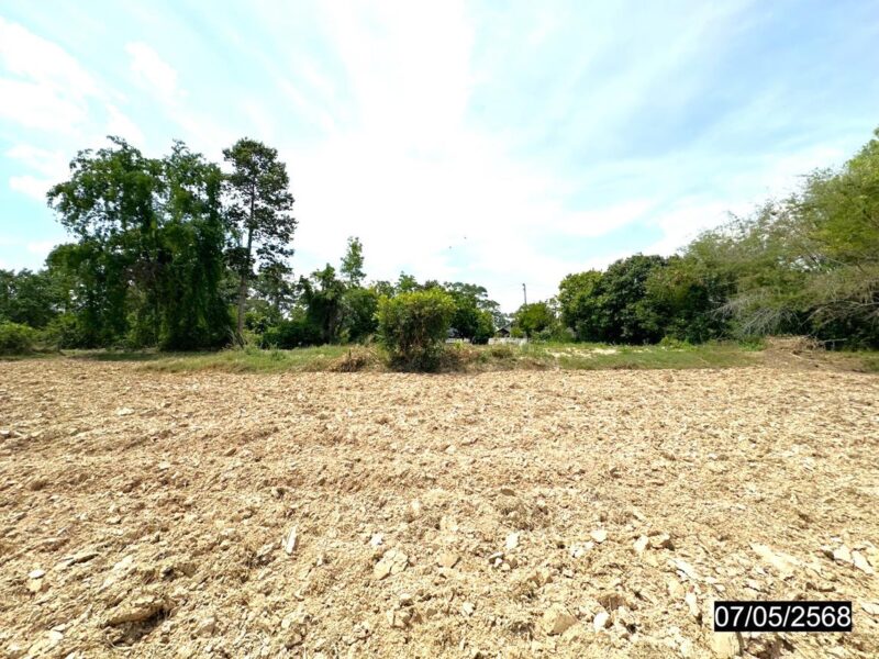 ที่ดินร้อยเอ็ด 8 ไร่เศษ หน้าแปลงติดถนน ราคาคุยกันได้