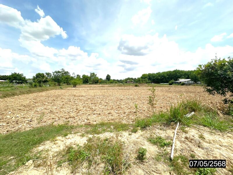 ที่ดินร้อยเอ็ด 8 ไร่เศษ หน้าแปลงติดถนน ราคาคุยกันได้