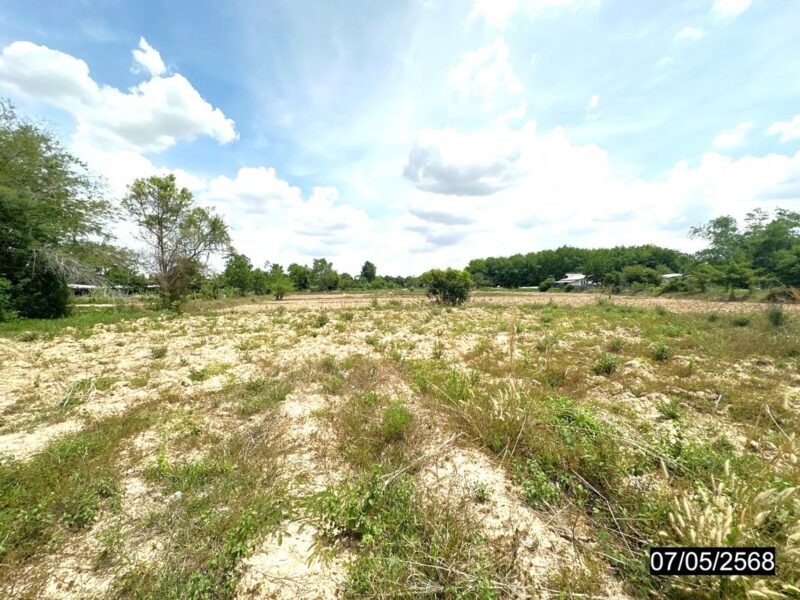 ที่ดินร้อยเอ็ด 8 ไร่เศษ หน้าแปลงติดถนน ราคาคุยกันได้