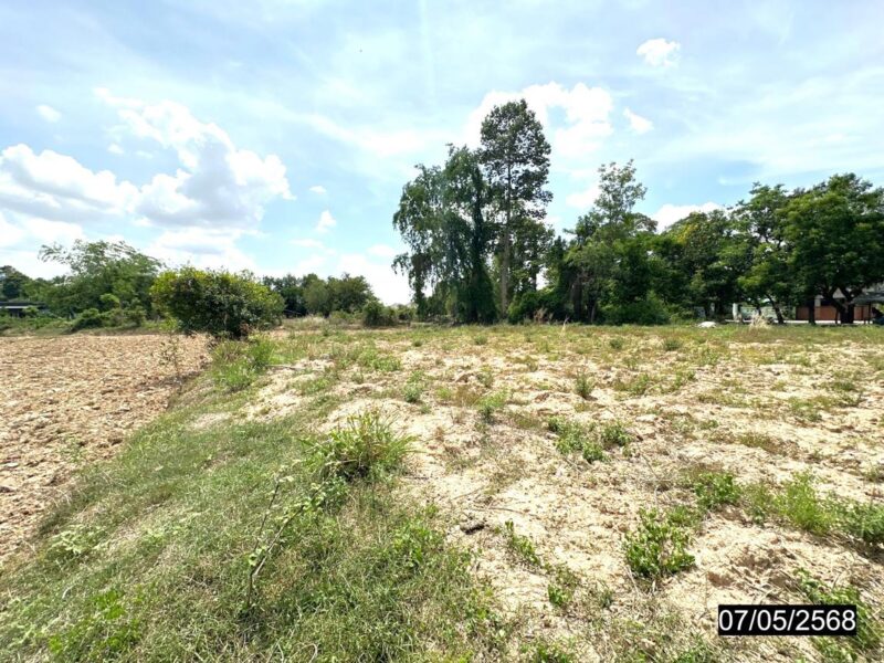 ที่ดินร้อยเอ็ด 8 ไร่เศษ หน้าแปลงติดถนน ราคาคุยกันได้