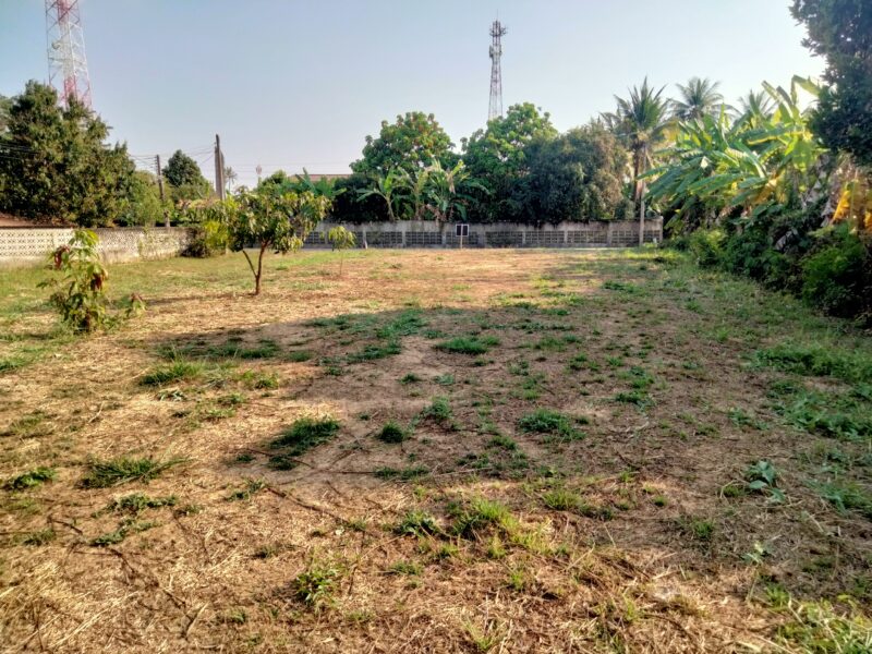 ที่ดินสวย200ตร.ว. ติดทางสาธารณะ2ด้าน