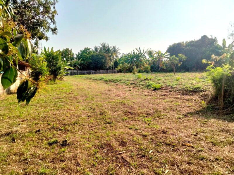 ที่ดินสวย200ตร.ว. ติดทางสาธารณะ2ด้าน