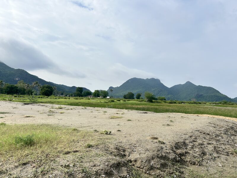 ที่ดินถมแล้ว วิวภูเขาสามร้อยยอด เจ้าของขายเอง