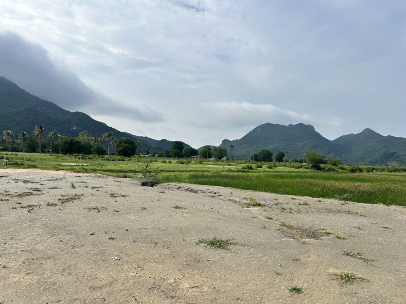 ที่ดินถมแล้ว วิวภูเขาสามร้อยยอด เจ้าของขายเอง