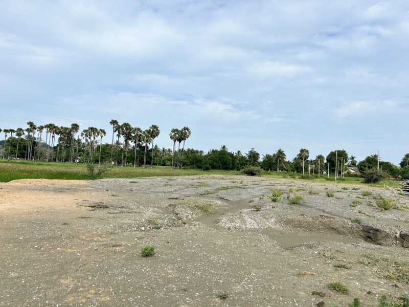 ที่ดินถมแล้ว วิวภูเขาสามร้อยยอด เจ้าของขายเอง