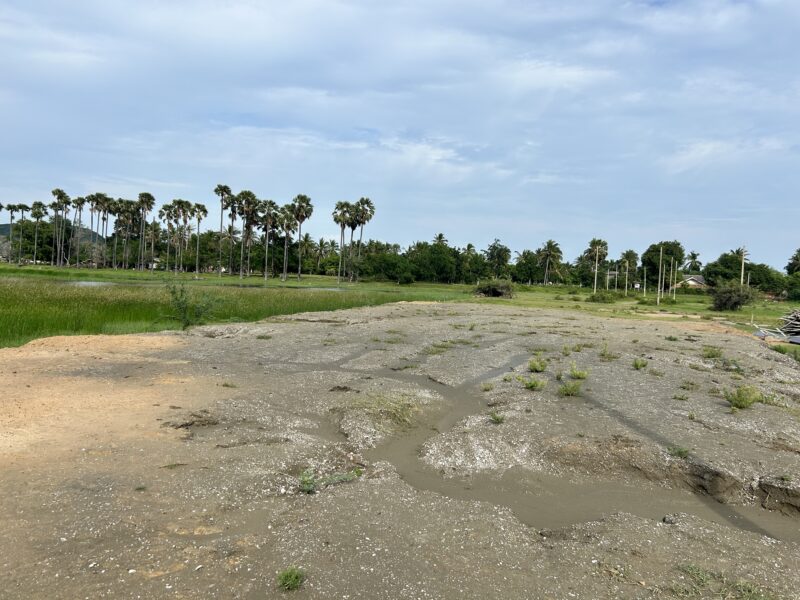 ที่ดินถมแล้ว วิวภูเขาสามร้อยยอด เจ้าของขายเอง