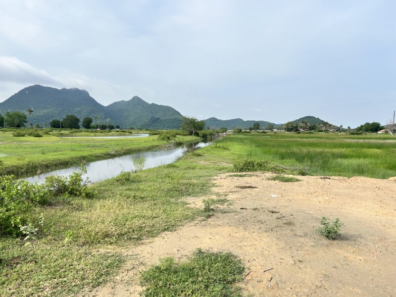 ที่ดินถมแล้ว วิวภูเขาสามร้อยยอด เจ้าของขายเอง