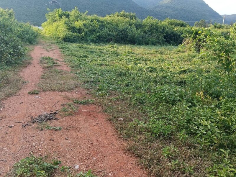 ที่ดินวิวหลักล้าน เขาสามร้อยยอดใกล้ทะเล