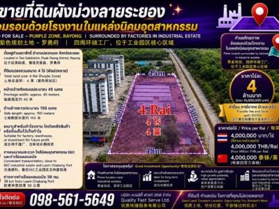 ขายที่ดินผังม่วงปลวกแดงระยอง ทำเลทองใกล้นิคมอุตสาหกรรม