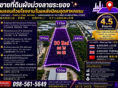 ขายที่ดินปลวกแดงระยอง ทำเลดีมีโรงงานล้อมรอบ