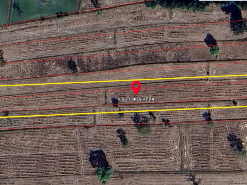 ขายด่วน !! ที่ดินแปลงสวย พื้นที่โล่ง จังหวัดศรีสะเกษ - เจ้าของขายเอง