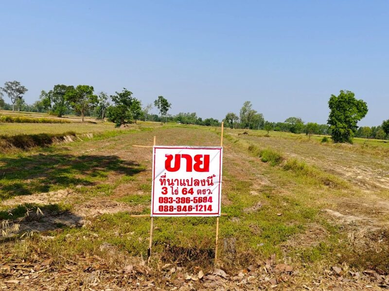 ขายด่วน !! ที่ดินแปลงสวย พื้นที่โล่ง จังหวัดศรีสะเกษ - เจ้าของขายเอง