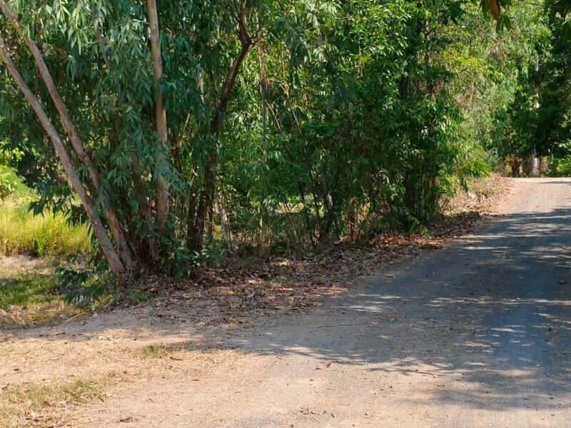 ขายด่วน !! ที่ดินแปลงสวย พื้นที่โล่ง จังหวัดศรีสะเกษ - เจ้าของขายเอง