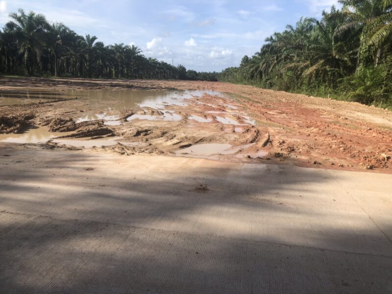 ขายที่ดินที่ถมแล้ว ติดถนนคอนกรีต ต.ทุ่งตะไคร