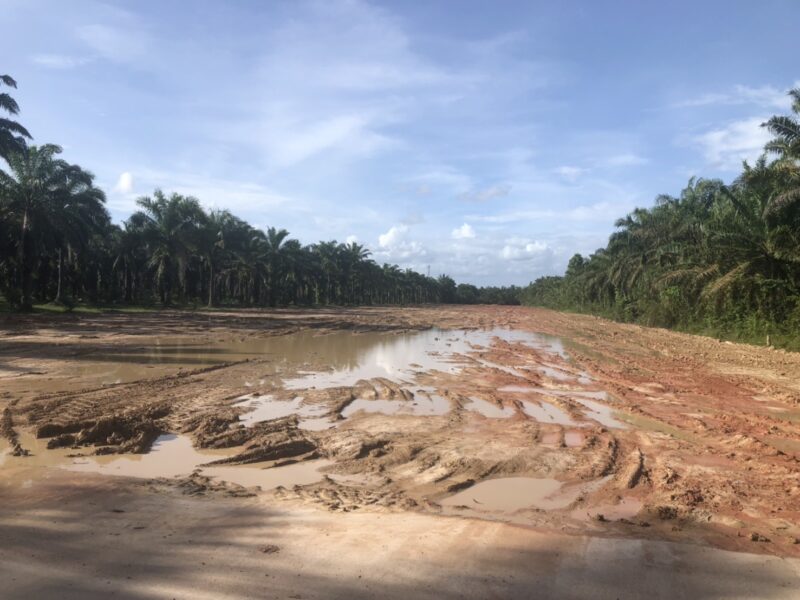 ขายที่ดินที่ถมแล้ว ติดถนนคอนกรีต ต.ทุ่งตะไคร