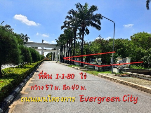 《ยินดีรับนายหน้า》ขายที่ดิน 274 ตร.ว โครงการ เอเวอร์กรีน ซิตี้ ใกล้รถไฟฟ้าMRTหลักสอง เดอะมอลล์บางแค
