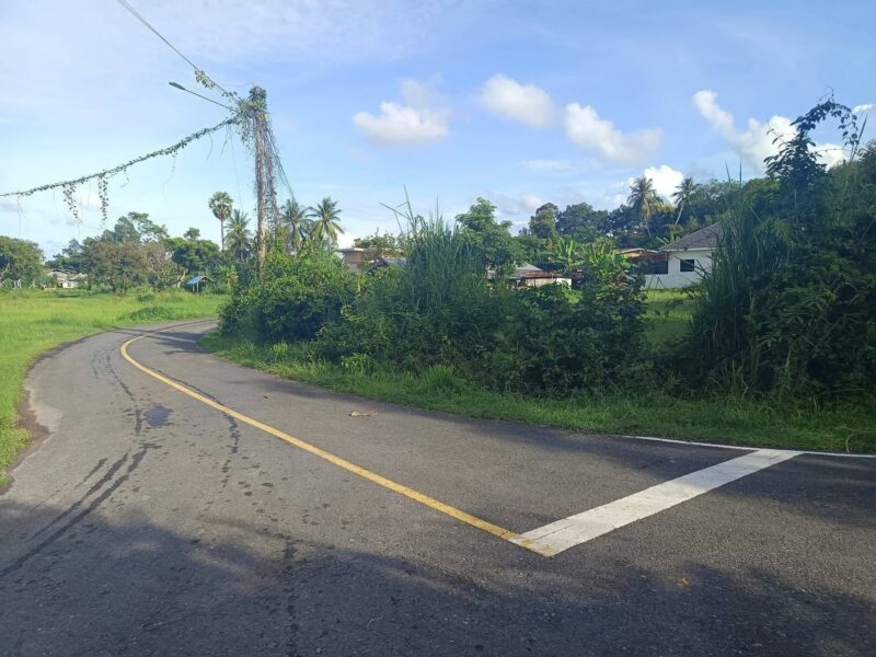 ขาย !!! ที่ดิน