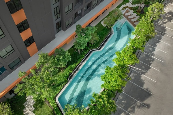 ขายคอนโดใหม่ dcondo sense Bangsaen พร้อมเข้าอยู่ ใกล้ ม.บูรพา ราคาดีสุดในย่าน โทร 093-1681685