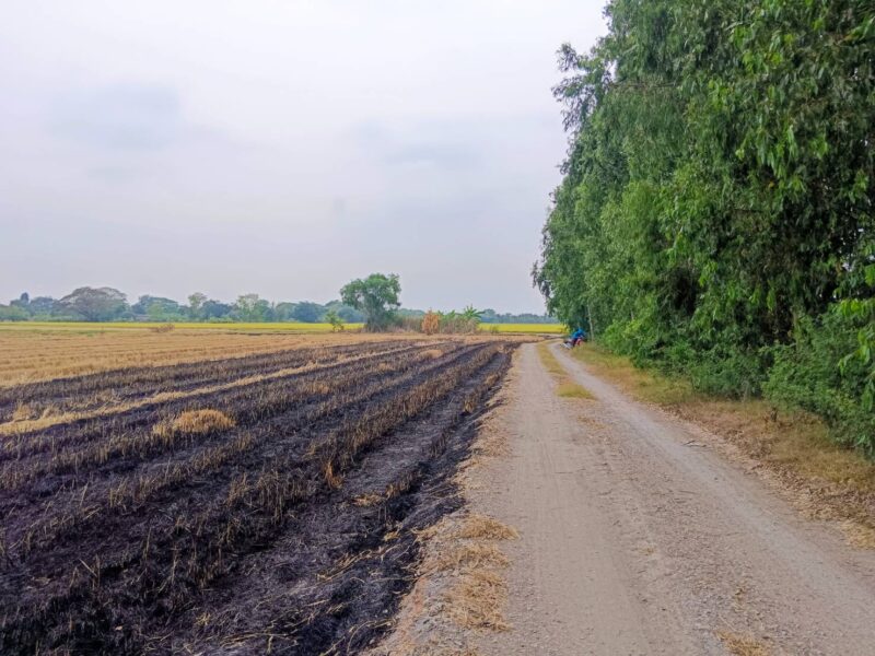 ขายที่ดินเปล่าในอำเภอบางน้ำเปรี้ยว จังหวัดฉะเชิงเทรา