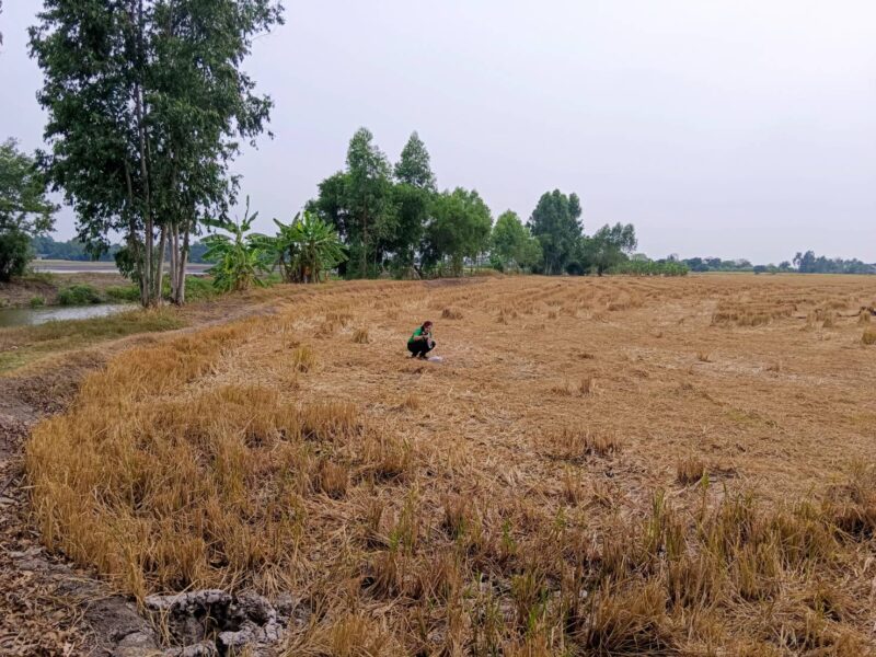 ขายที่ดินเปล่าในอำเภอบางน้ำเปรี้ยว จังหวัดฉะเชิงเทรา