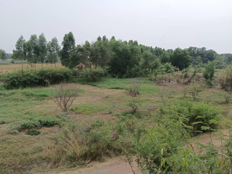 ขายที่ดินเปล่าในอำเภอบางน้ำเปรี้ยว จังหวัดฉะเชิงเทรา