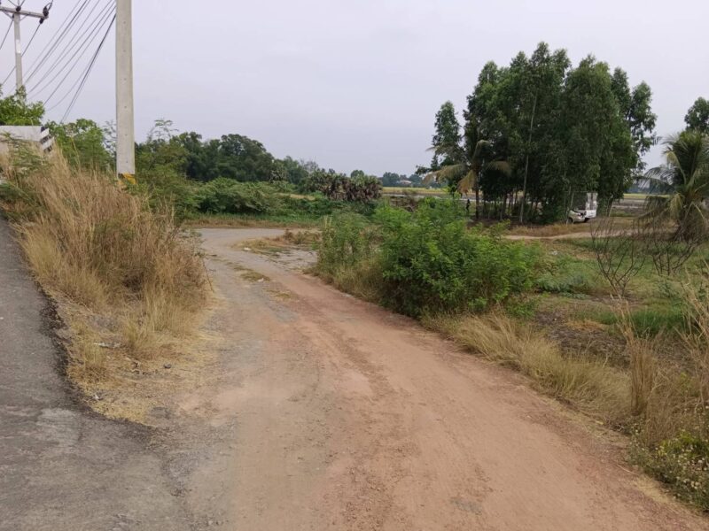 ขายที่ดินเปล่าในอำเภอบางน้ำเปรี้ยว จังหวัดฉะเชิงเทรา