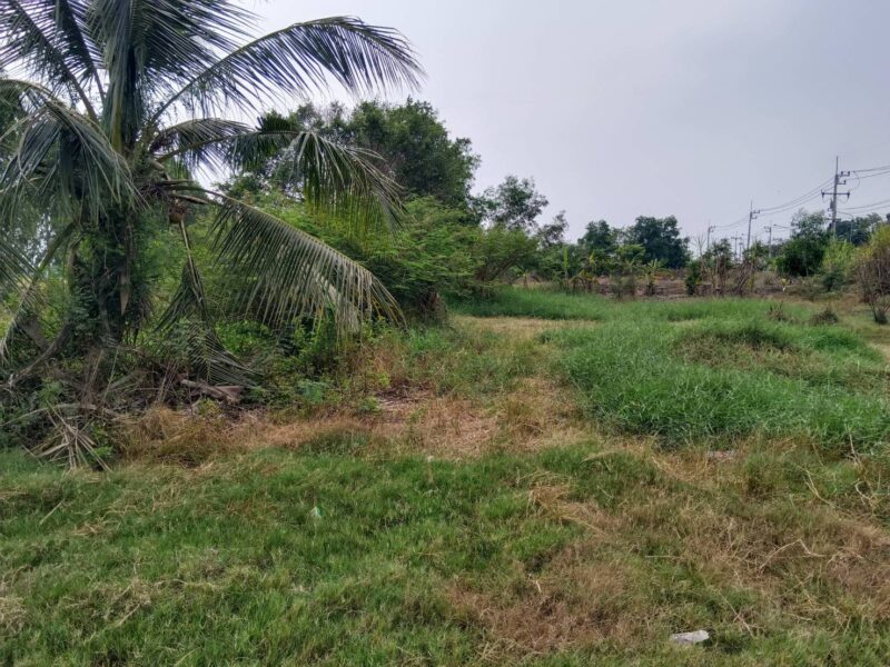 ขายที่ดินเปล่าในอำเภอบางน้ำเปรี้ยว จังหวัดฉะเชิงเทรา