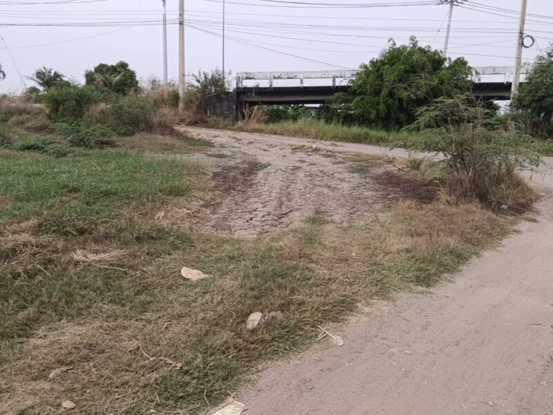 ขายที่ดินเปล่าในอำเภอบางน้ำเปรี้ยว จังหวัดฉะเชิงเทรา