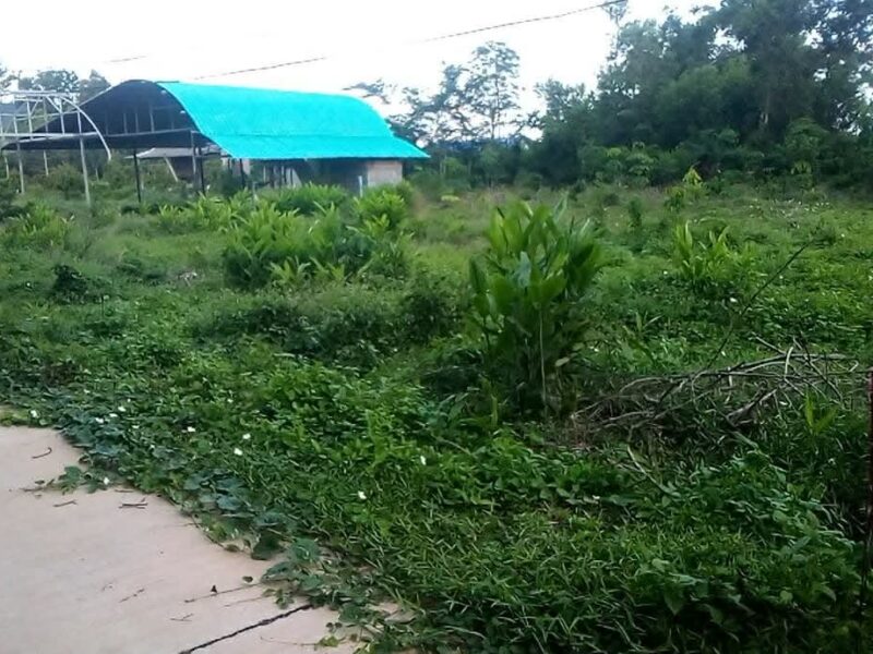 ขายที่ดิน 1 งาน ต.ซากพง อ.แกลง จ.ระยอง ราคาเพียง 500,000 บาท