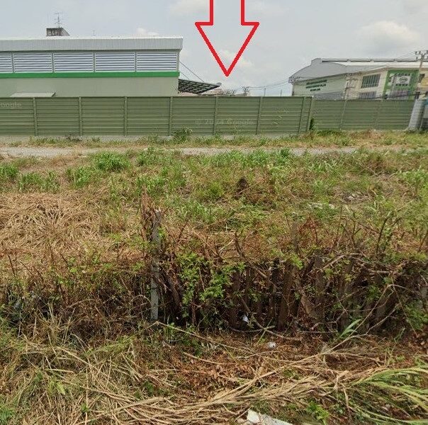 ที่ดินสมุทรปราการ พระประแดง เนื้อที่ 386 ตารางวา ราคาคุยกันได้