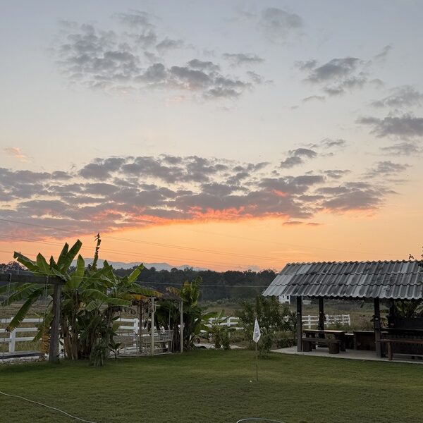 ขายกิจการร้านกาแฟ สระว่ายน้ำ วิลล่า 4 หลัง อ.แม่ริม จ.เชียงใหม่ พร้อมบริหารกิจการต่อได้เลย โทร 088-9162454