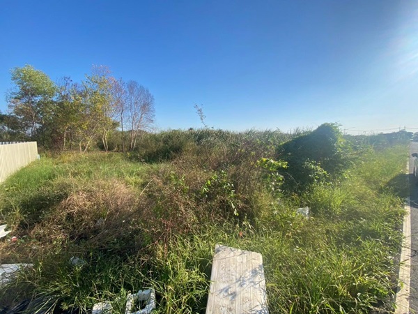 ขายยกที่ดิน 2 แปลงติด ต.หนามแดง อ.เมือง จ.ฉะเชิงเทรา เนื้อที่รวม 3-1-72.2 ไร่ โทร 096-0124534