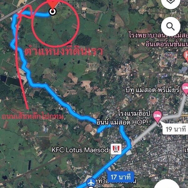 ด่วน!! ขายที่ดินแม่สอด-ห้วยกระโหลก 42 ไร่ ที่มีโฉนด นส.4 ครุฑแดง แปลงเดียวในย่านนี้ โทร 083-5437789