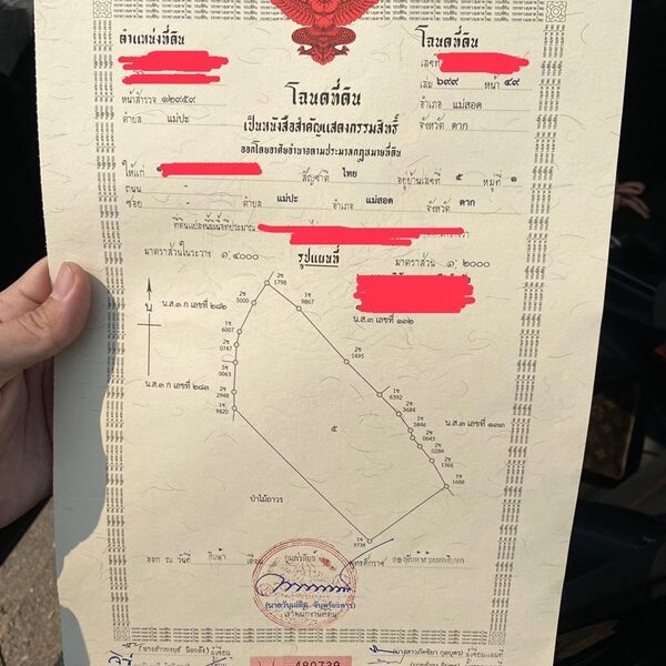 ด่วน!! ขายที่ดินแม่สอด-ห้วยกระโหลก 42 ไร่ ที่มีโฉนด นส.4 ครุฑแดง แปลงเดียวในย่านนี้ โทร 083-5437789