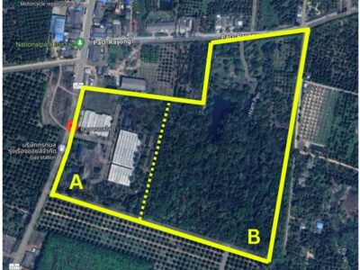 ขายโรงงาน และ สวนป่าเบญพรรณ อายุ 25 ปี อ.เขาชะเมา จ.ระยอง ราคาพิเศษ โทร 095-2601140