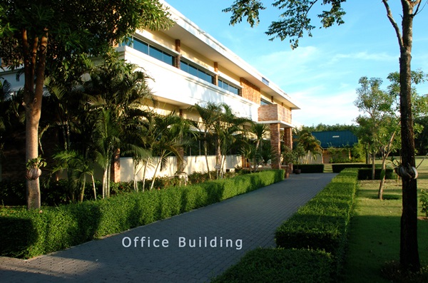 ขายโรงงาน และ สวนป่าเบญพรรณ อายุ 25 ปี อ.เขาชะเมา จ.ระยอง ราคาพิเศษ โทร 095-2601140